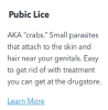 What is Pubic Lice (Web)
