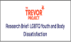 LGBTQ Youth and Body Dissatisfaction (PDF)