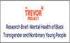 Mental Health Black Transgender Nonbinary Young People (PDF)