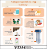 Pangongolekta ng Gabay [Sputum Collection Guide for Clients]. Go to fact sheet