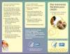 Thumbnail image of Pre-Exposure Prophylaxis (PrEP): A Potential New Method for HIV Prevention 