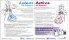 You Can Prevent Tuberculosis: A Patient Educational Handout. Go to factsheet 