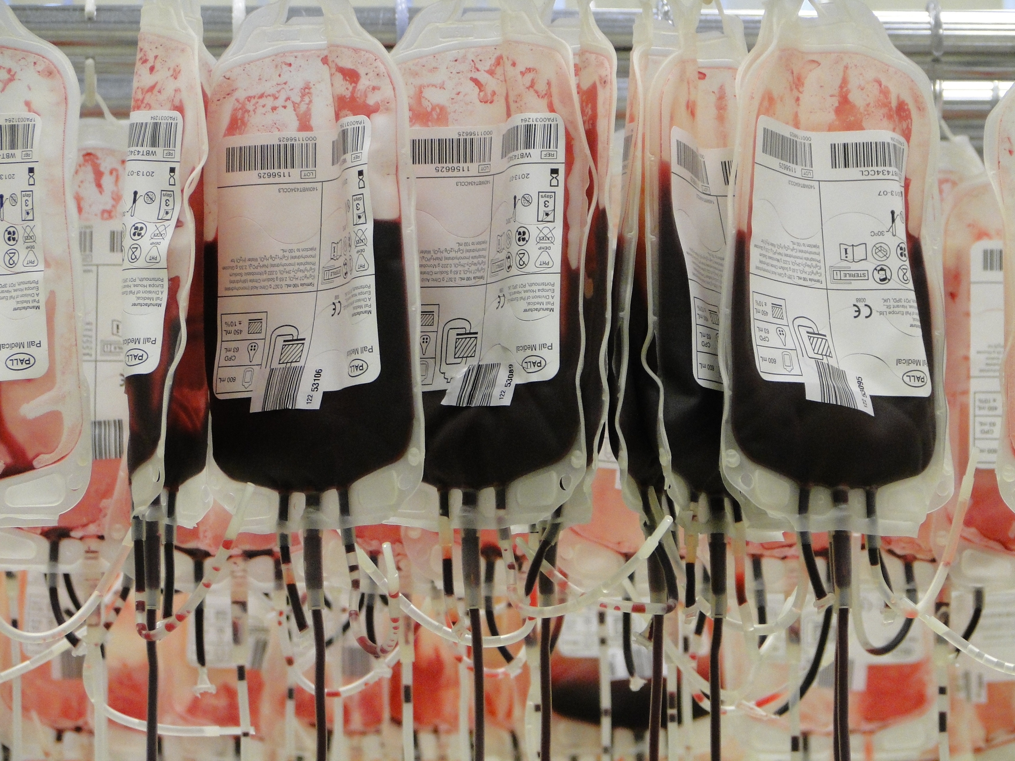 medical blood bags